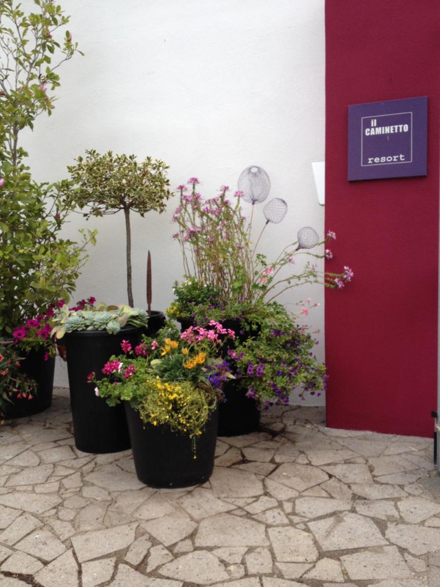 Il Caminetto Montefiascone - Housity