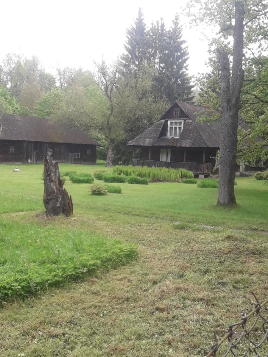 In Nature - Hizvo