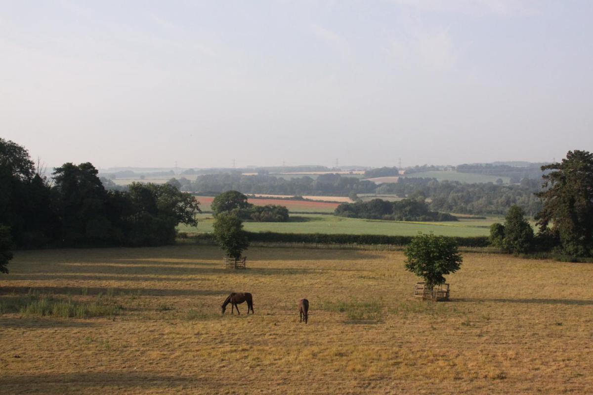 The Manor House Bed and Breakfast - Housity