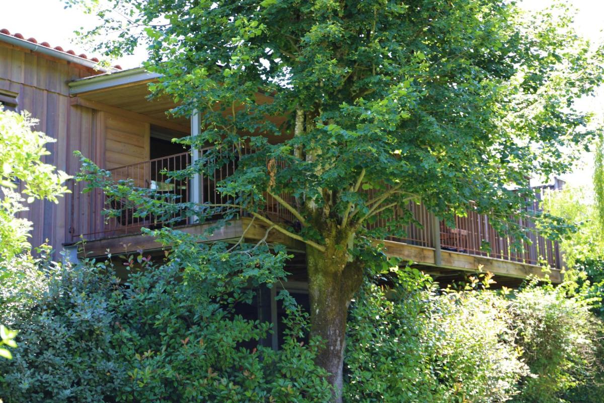 Jardin de l'établissement Les Glycines - Hôtel & Spa - Teritoria