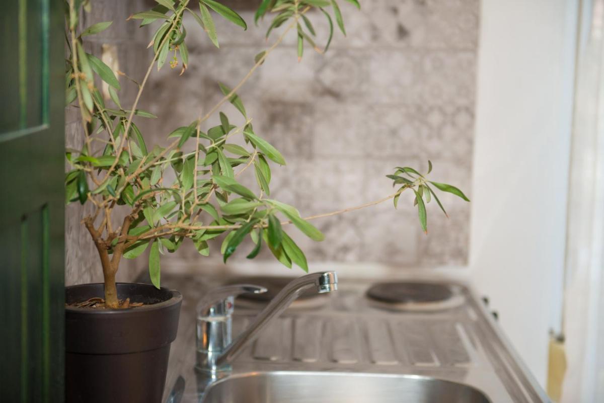 Dimitriadis fresh Edem - Housity