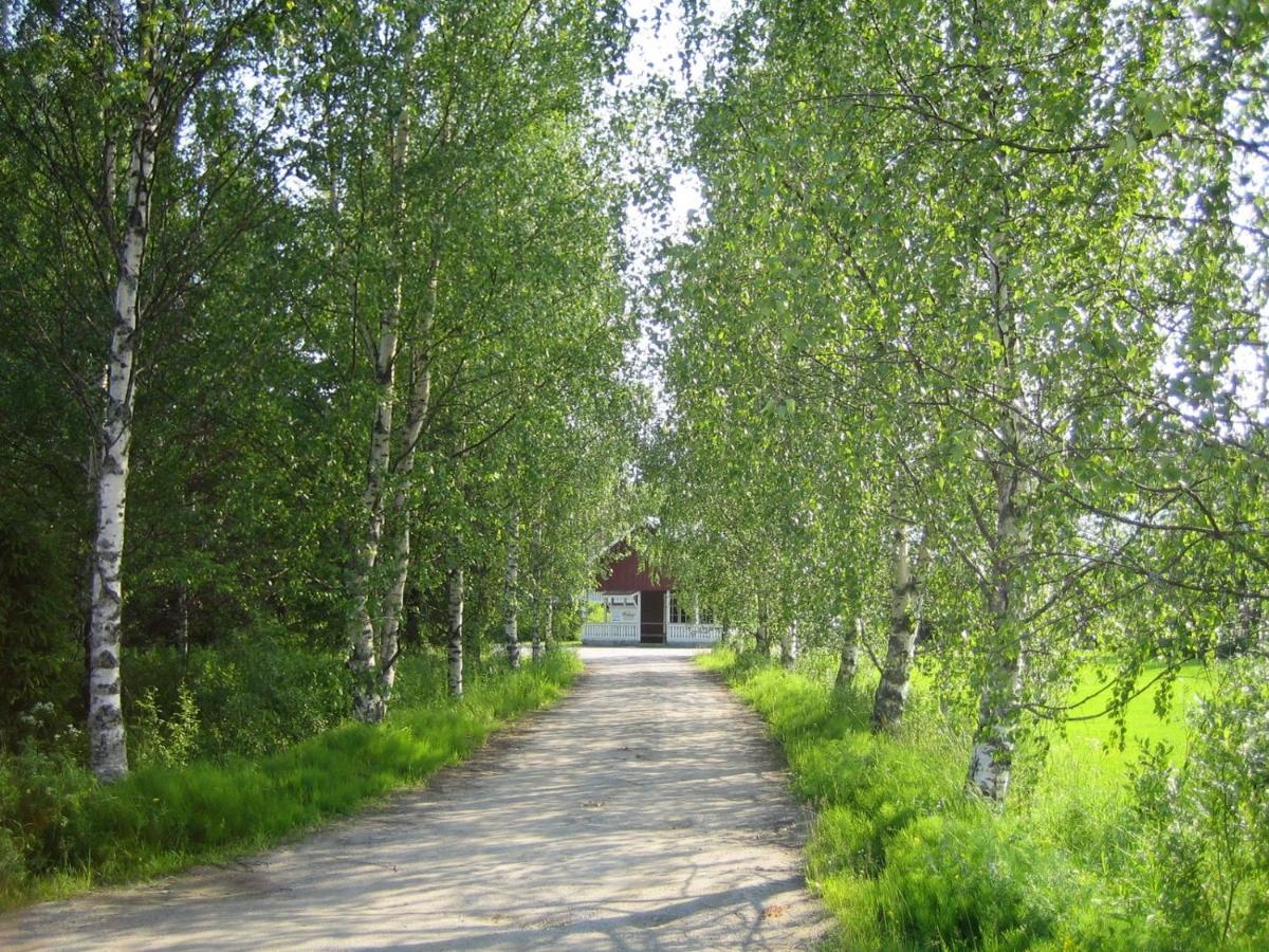 Rauhalan kievari - Housity