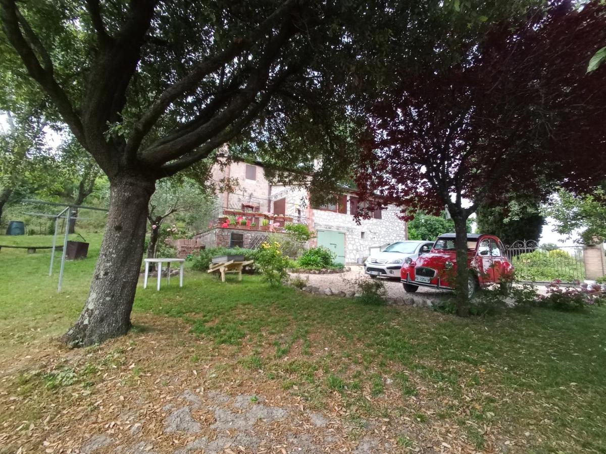 Tra grilli e cicale - Housity