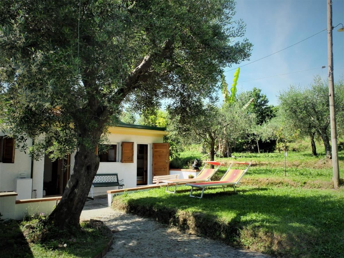 Casa il Banano - Housity