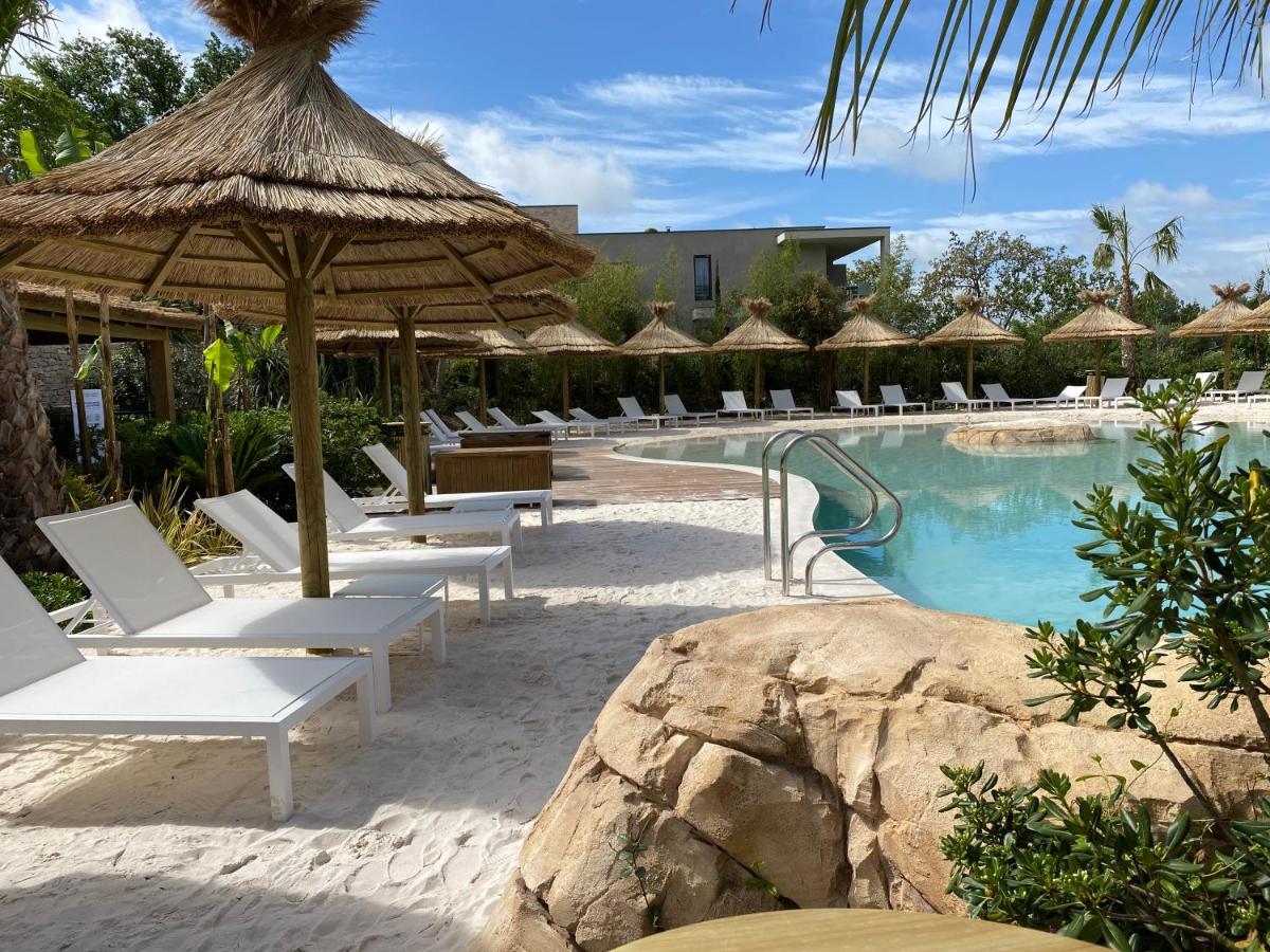 Piscine de l'établissement Domaine du Mas De Pierre ou située à proximité