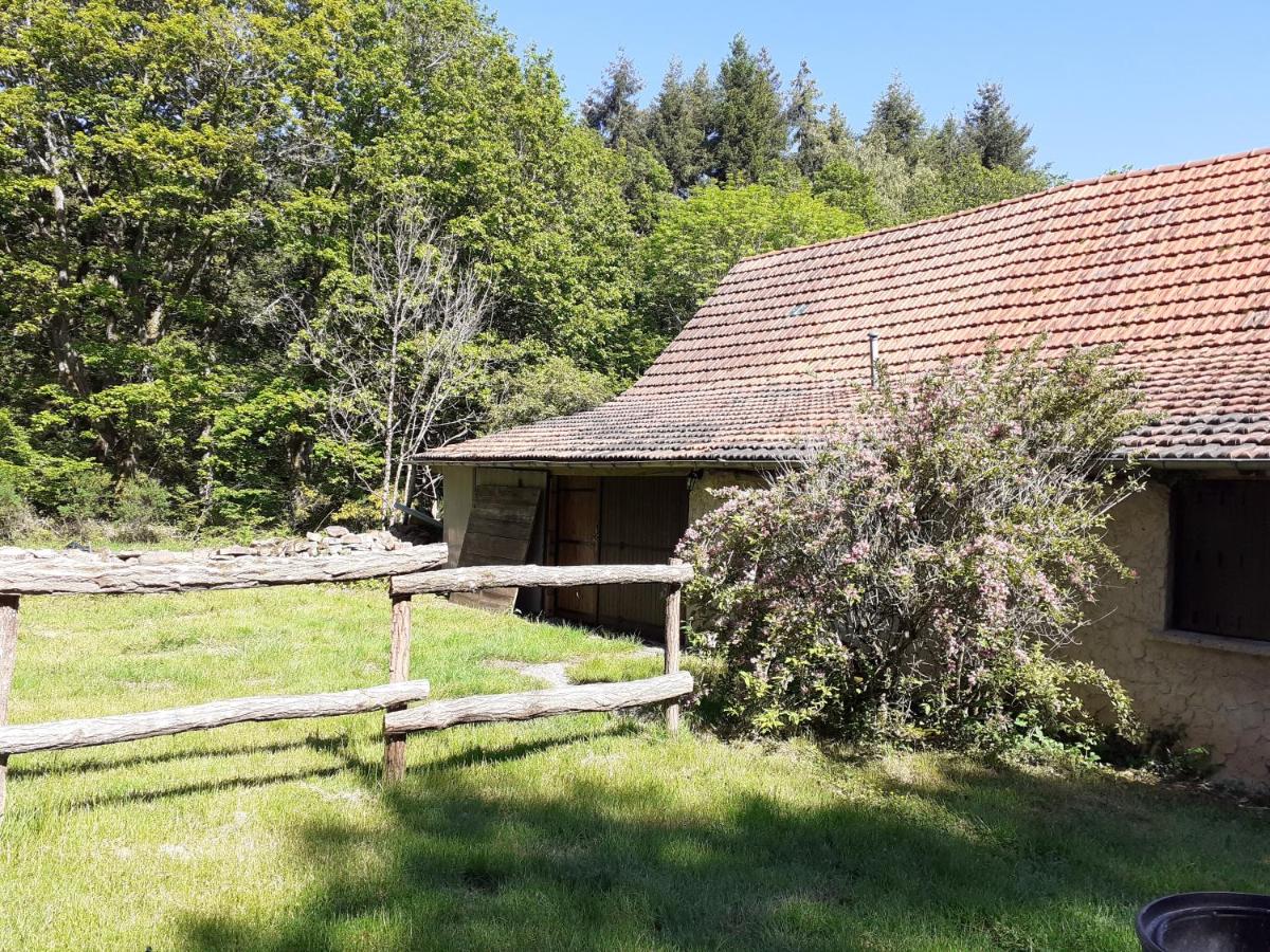 Le grand bonheur - Housity