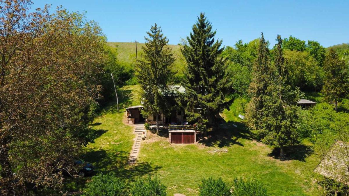 Vila Knez - Housity