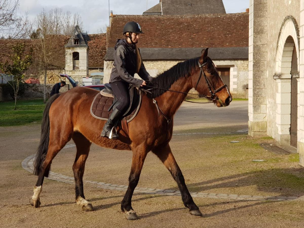 Suitetrails - Chenonceau Amboise équitation beauval