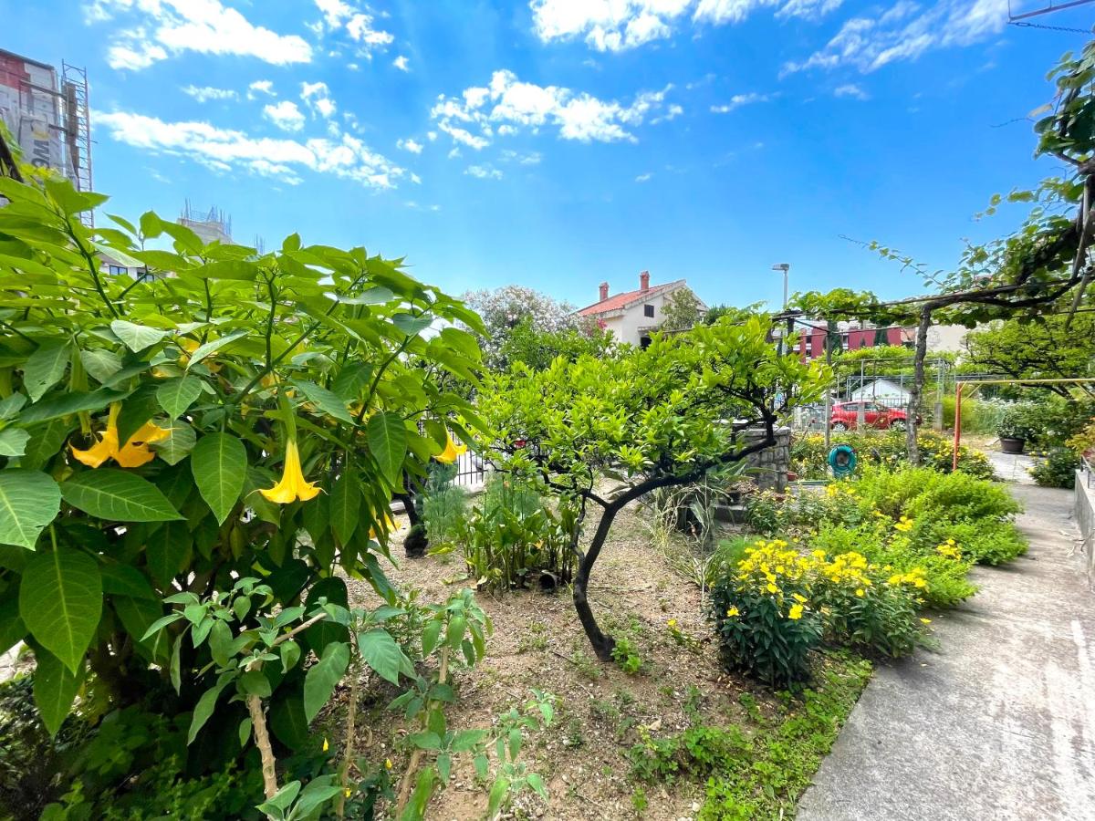 Garden House Budva - Housity