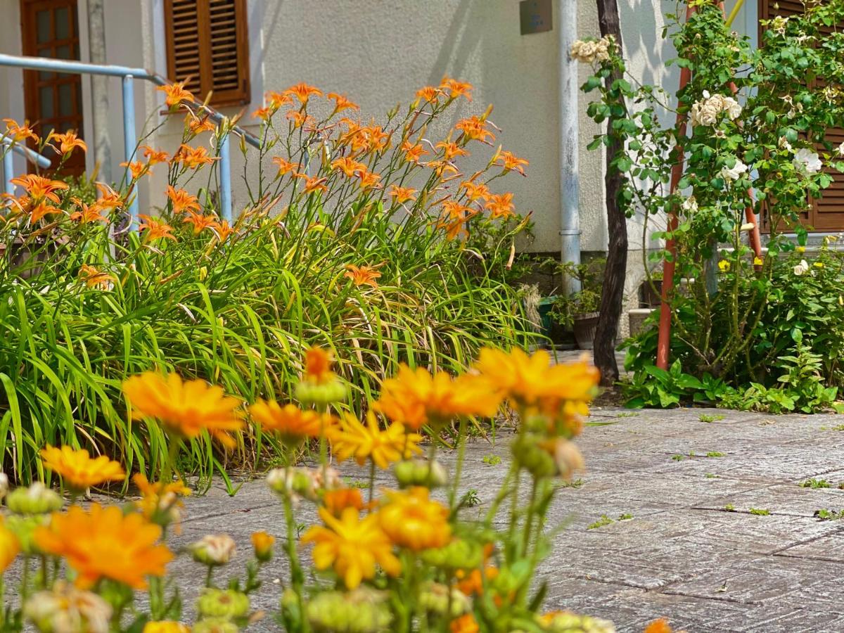 Garden House Budva - Housity