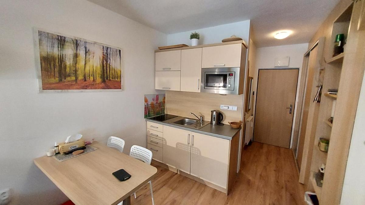 Apartmán Všemina - Housity