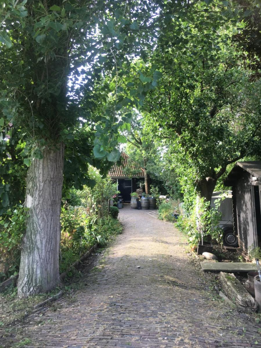 B&B De Pauw - Country Home Cooking - Housity