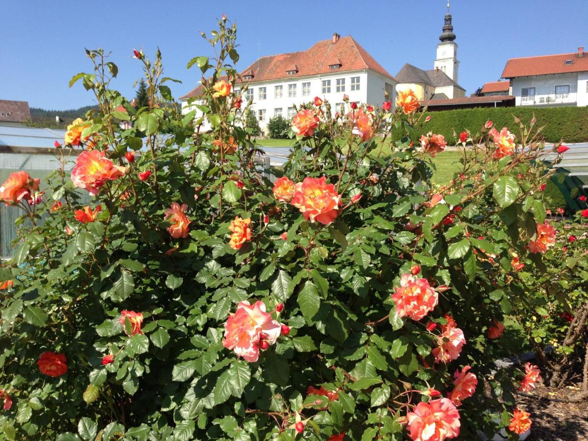 Haus Rose - Housity