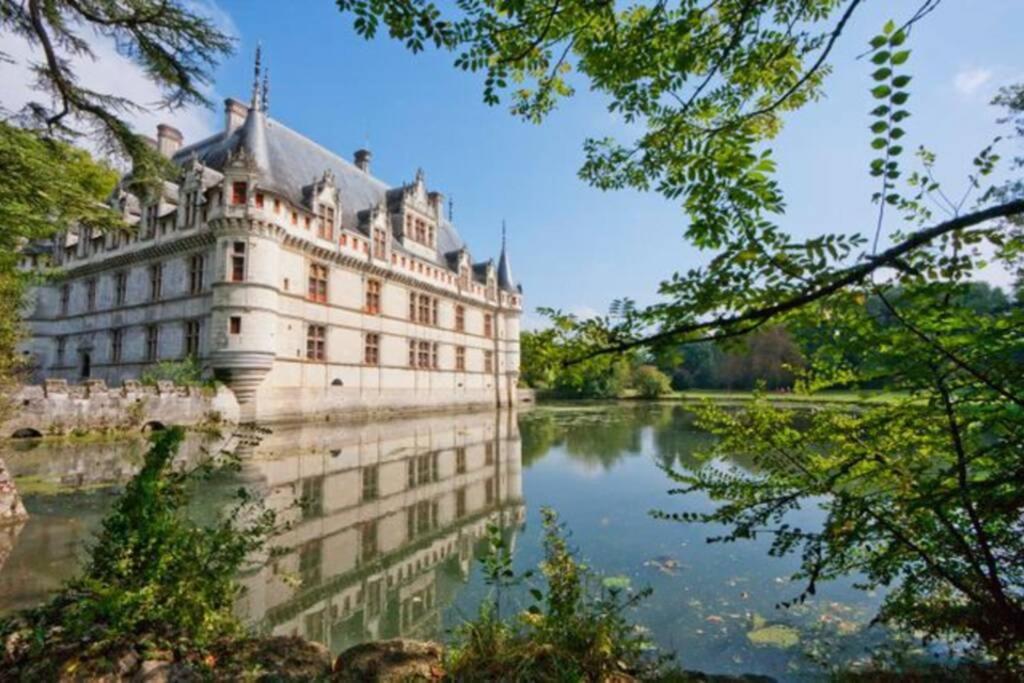 AMALOUYSE Studio de charme au cœur des châteaux de Loire - Housity