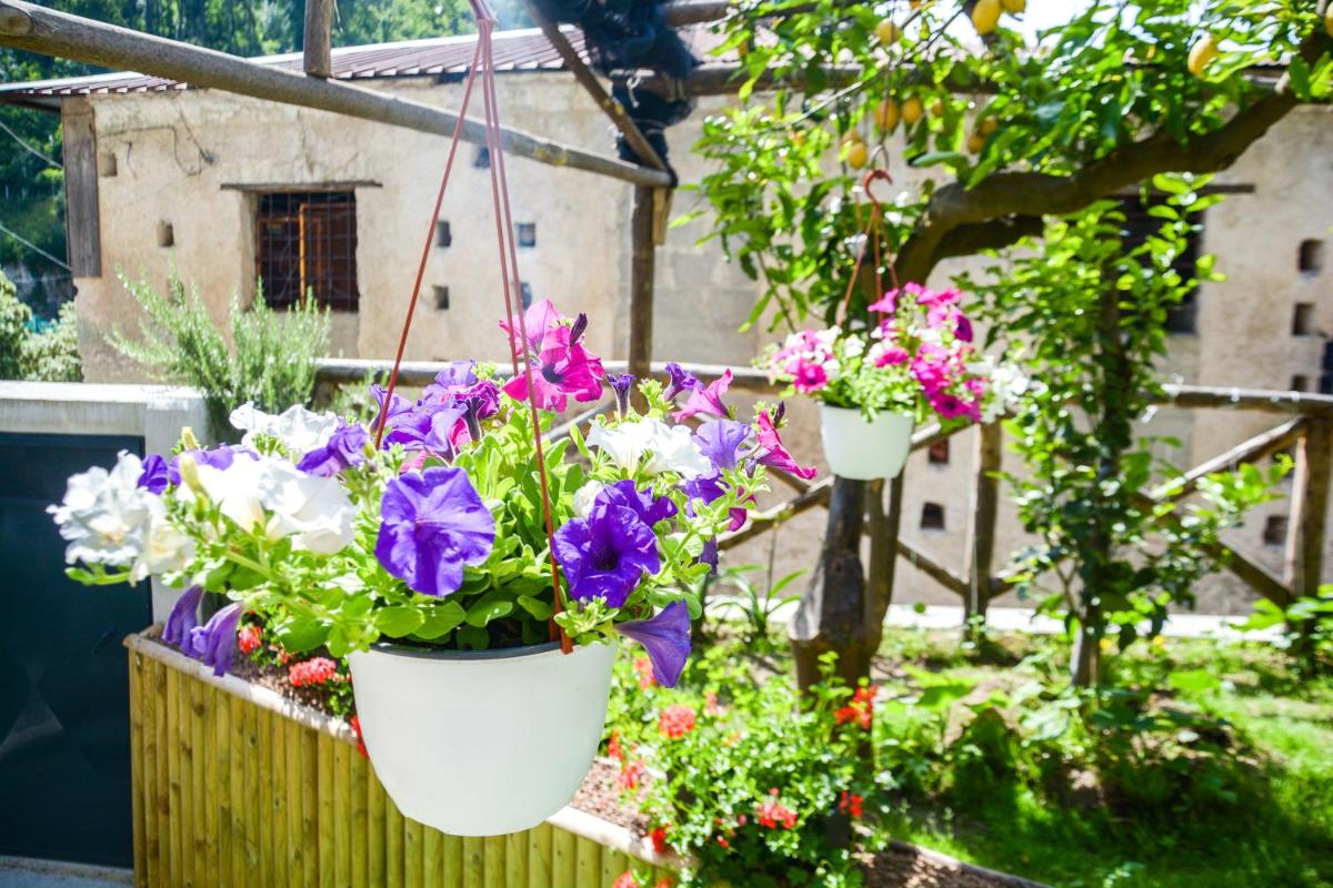 Holiday House Ruocco - Housity