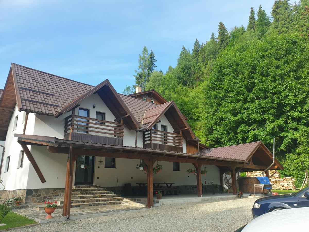 Pensiunea Cheile Repezii - Housity