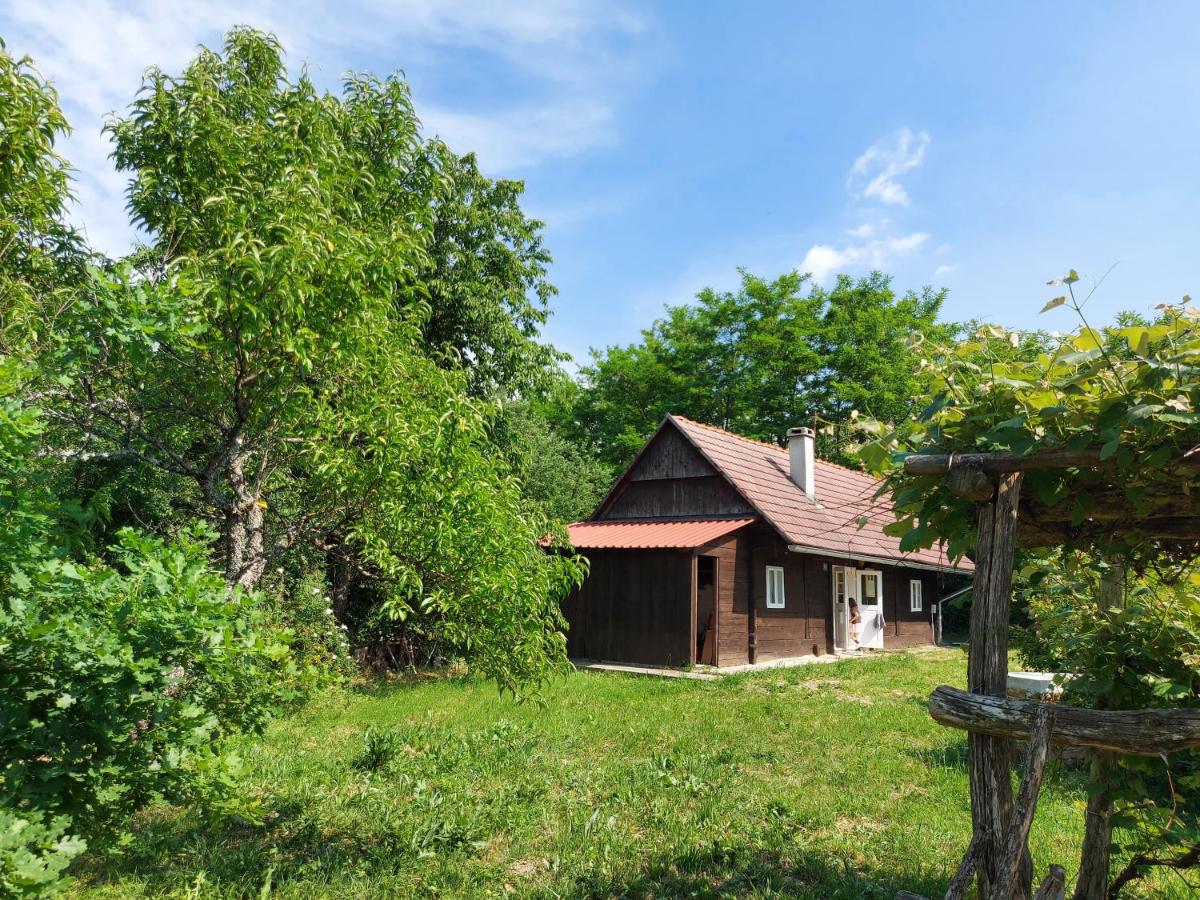 Dada House Nature Holiday - Housity