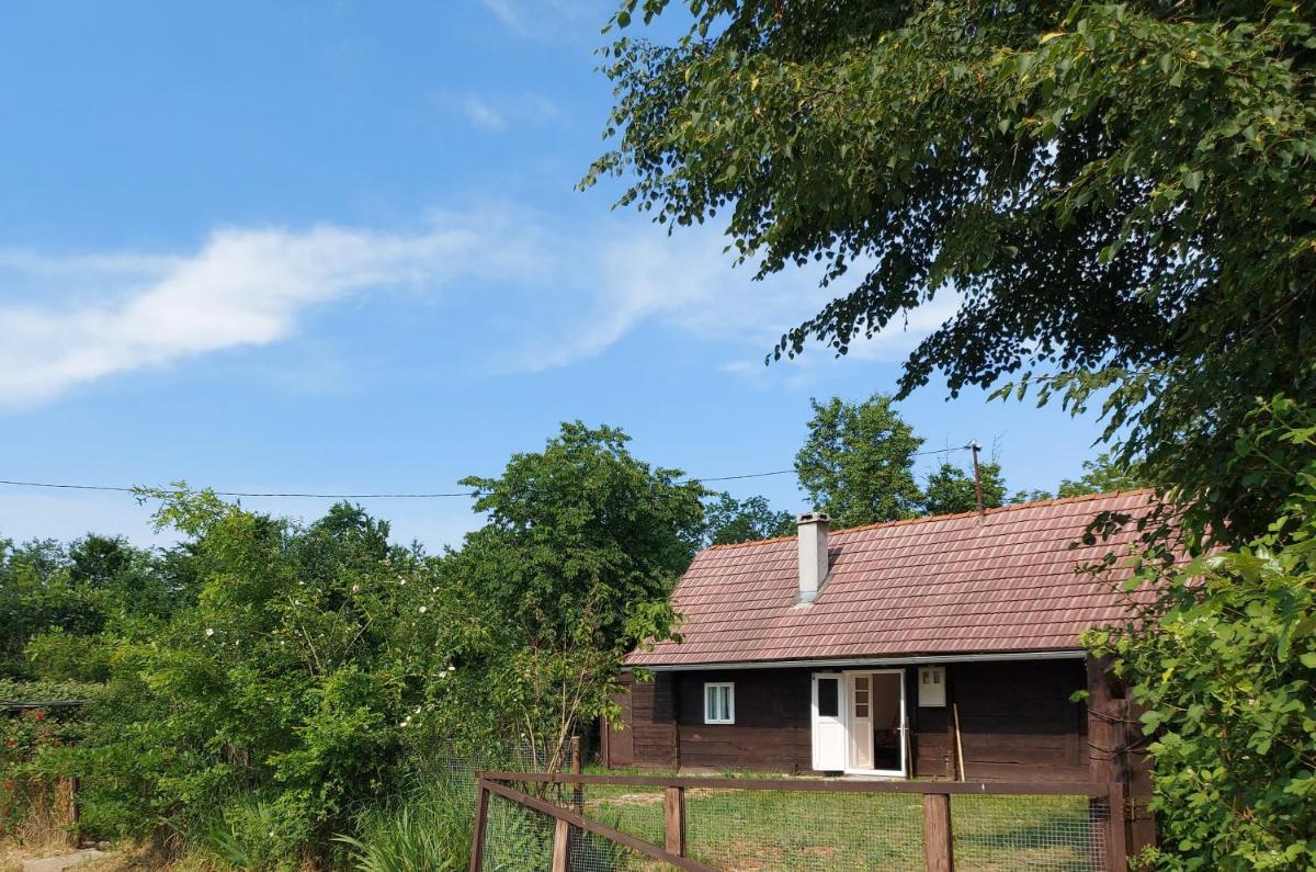Dada House Nature Holiday - Housity