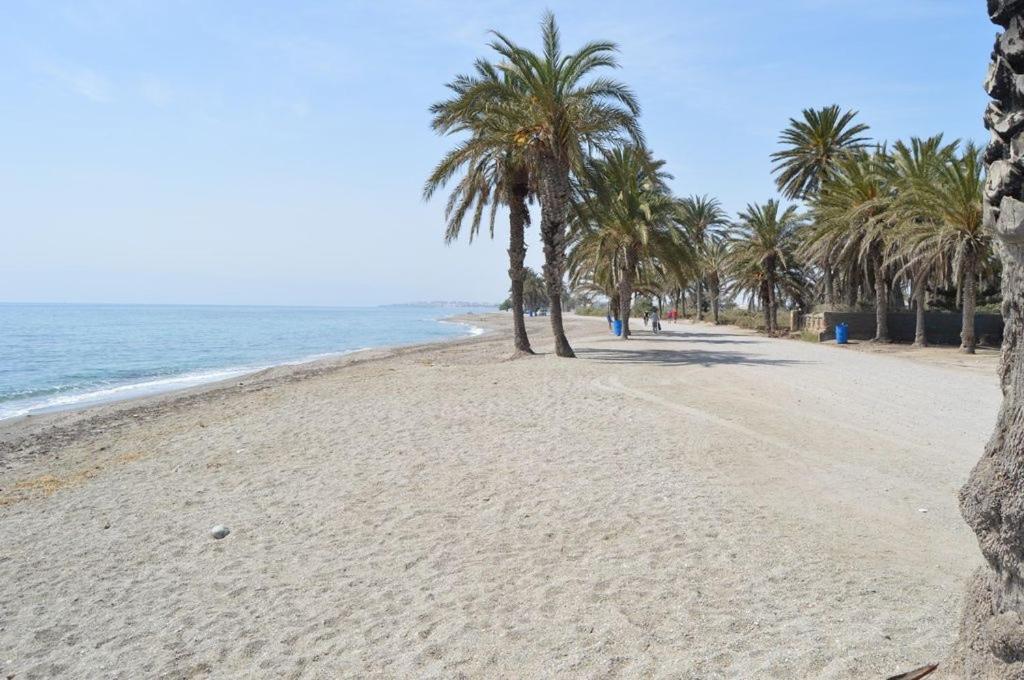 APARTAMENTO LAS PALMERILLAS-RESIDENCIAL TORREQUEBRADA - Housity