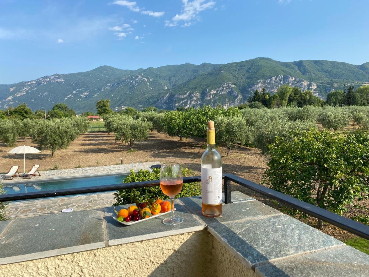 Villa Eleonas by the Sea with private pool - Housity
