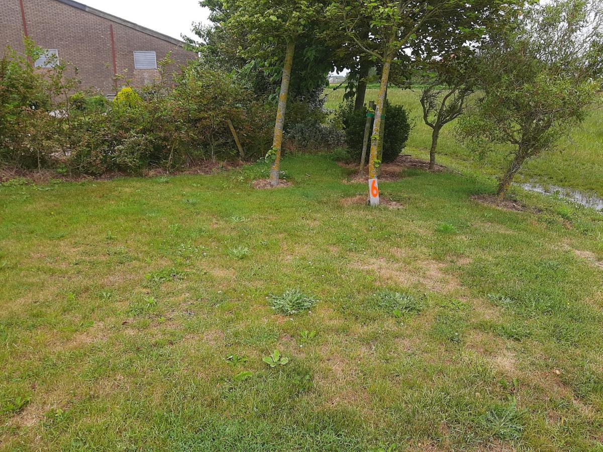 empty spot on grass Camping The Tulip - Housity