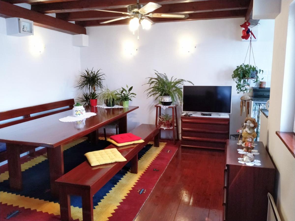 Cheerful two bedroom cottage with panoramic view in Celina - Housity