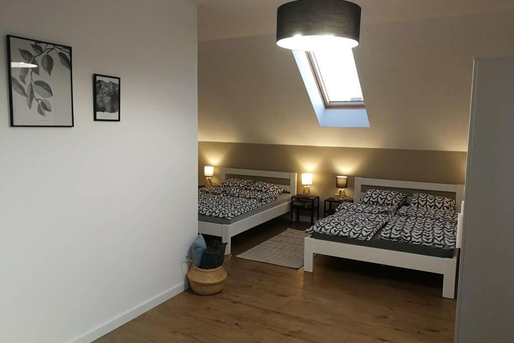 Villa Corvus Mikołajki - Dom apartamentowy - Housity