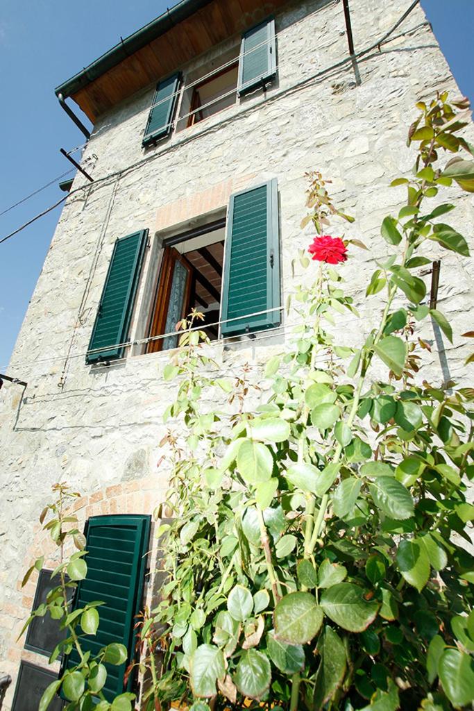 Tower (Terratetto) caratteristico in pietra - Housity