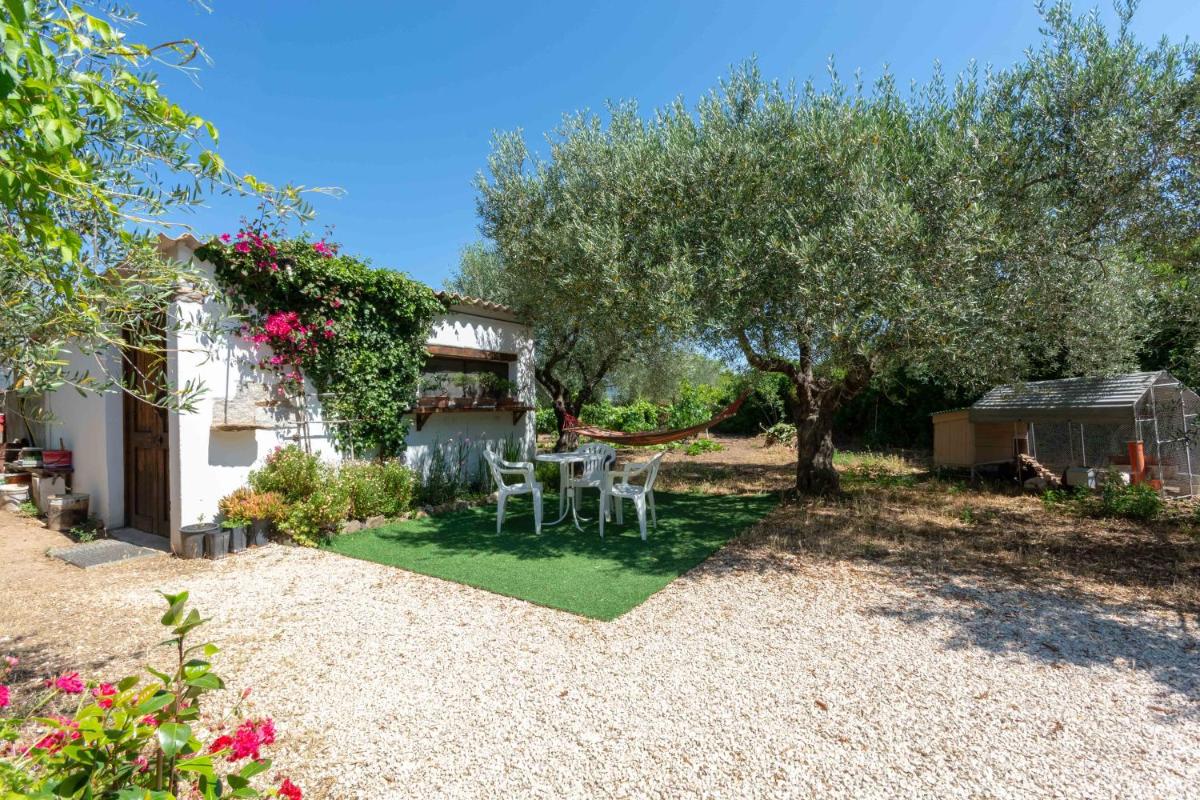 Villa L'Oliveto - Housity