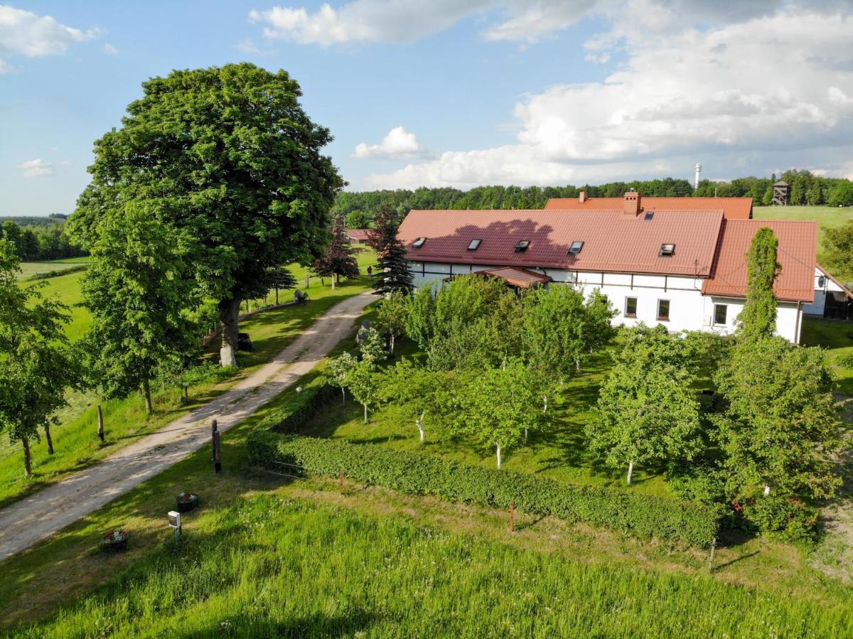 Dylewianka - Housity
