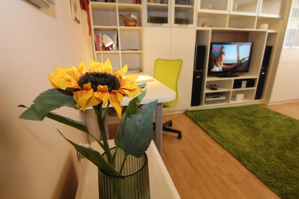 Fast Friend - cozy apartment in the center with private garage - Hizvo