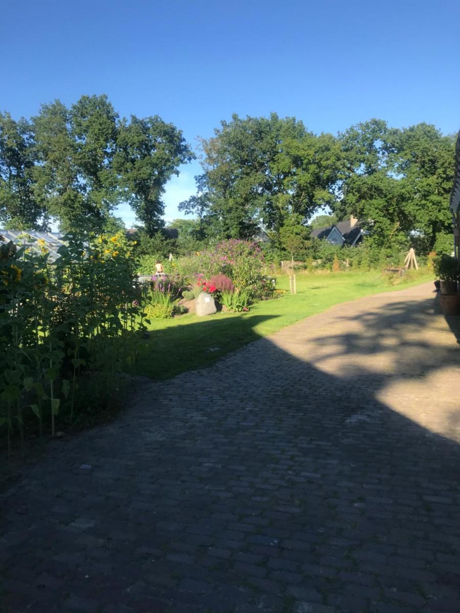 Assen-Groningen-Saunacabine - Housity