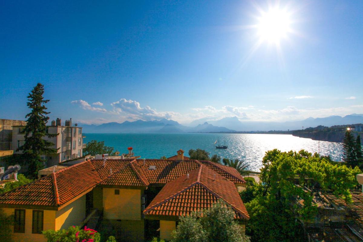 Bacchus Pension - Housity