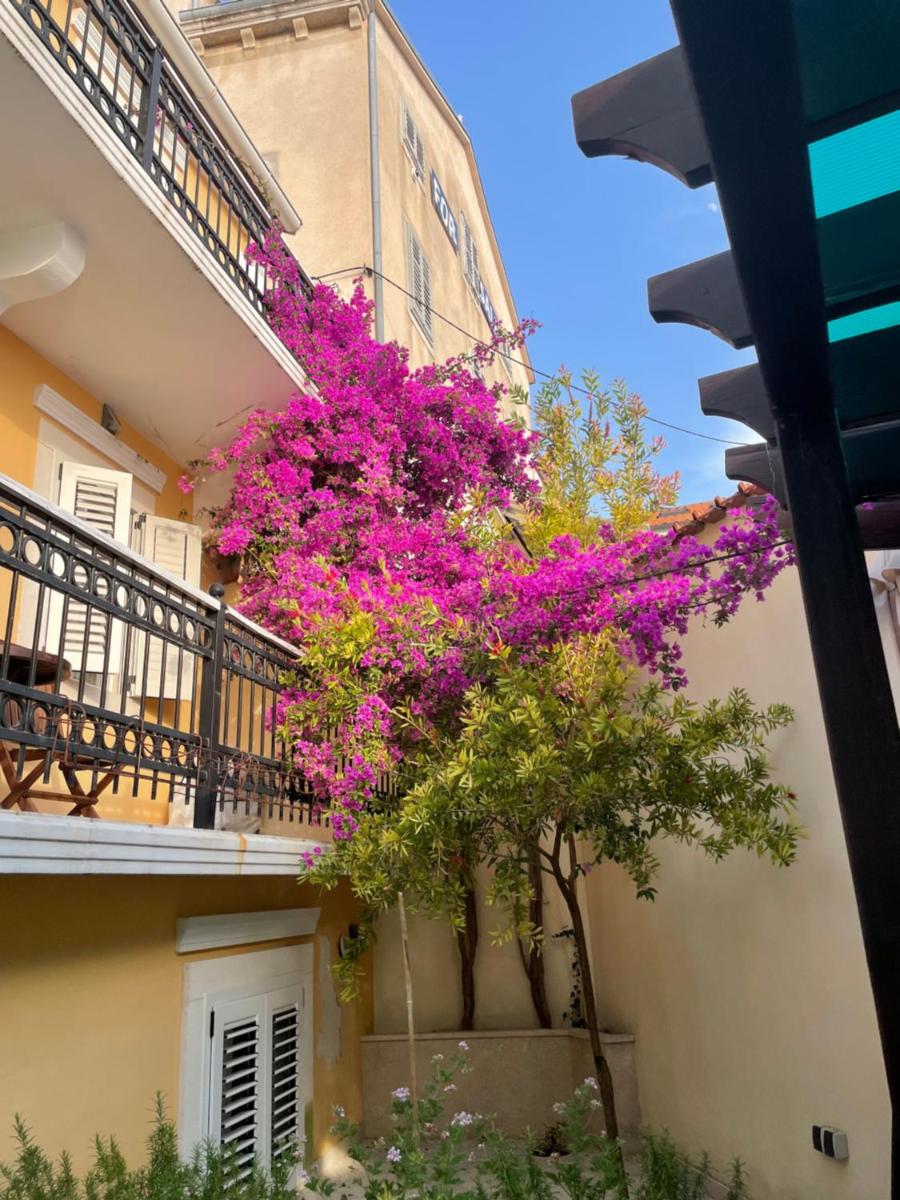 Lovely house, near city center, Mali Lošinj - Housity