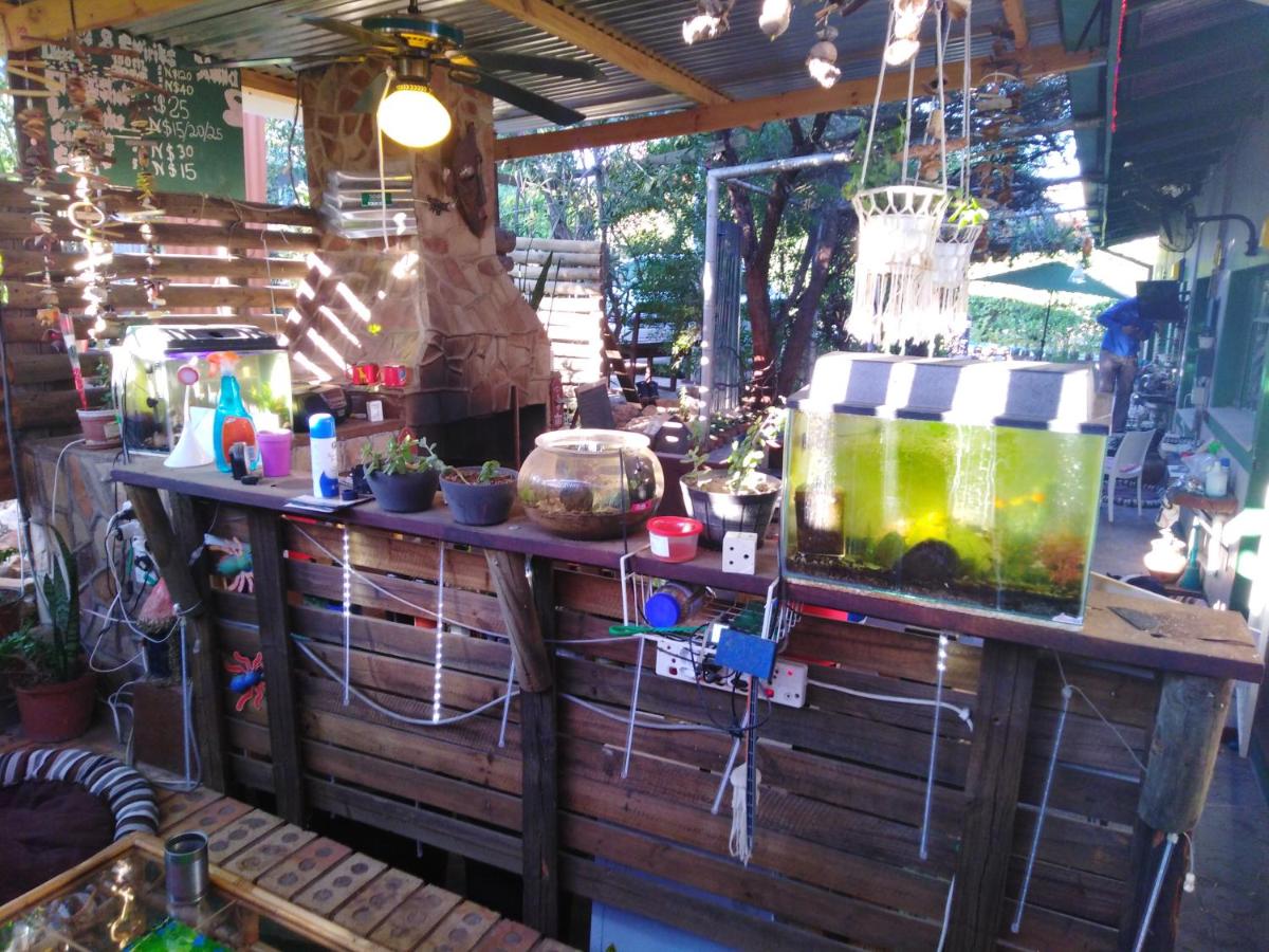 Xenia Bed & Breakfast - Housity