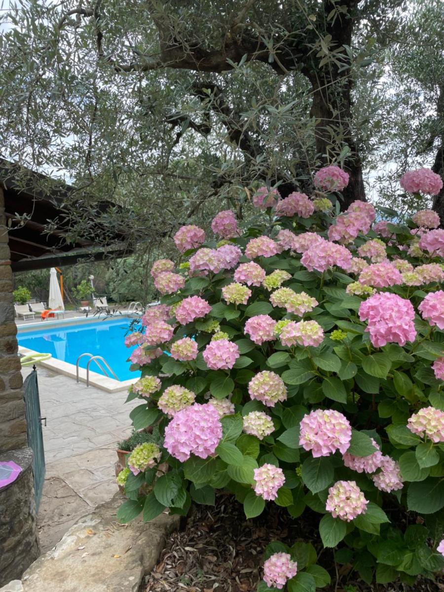 Podere Poggio Mendico - Housity