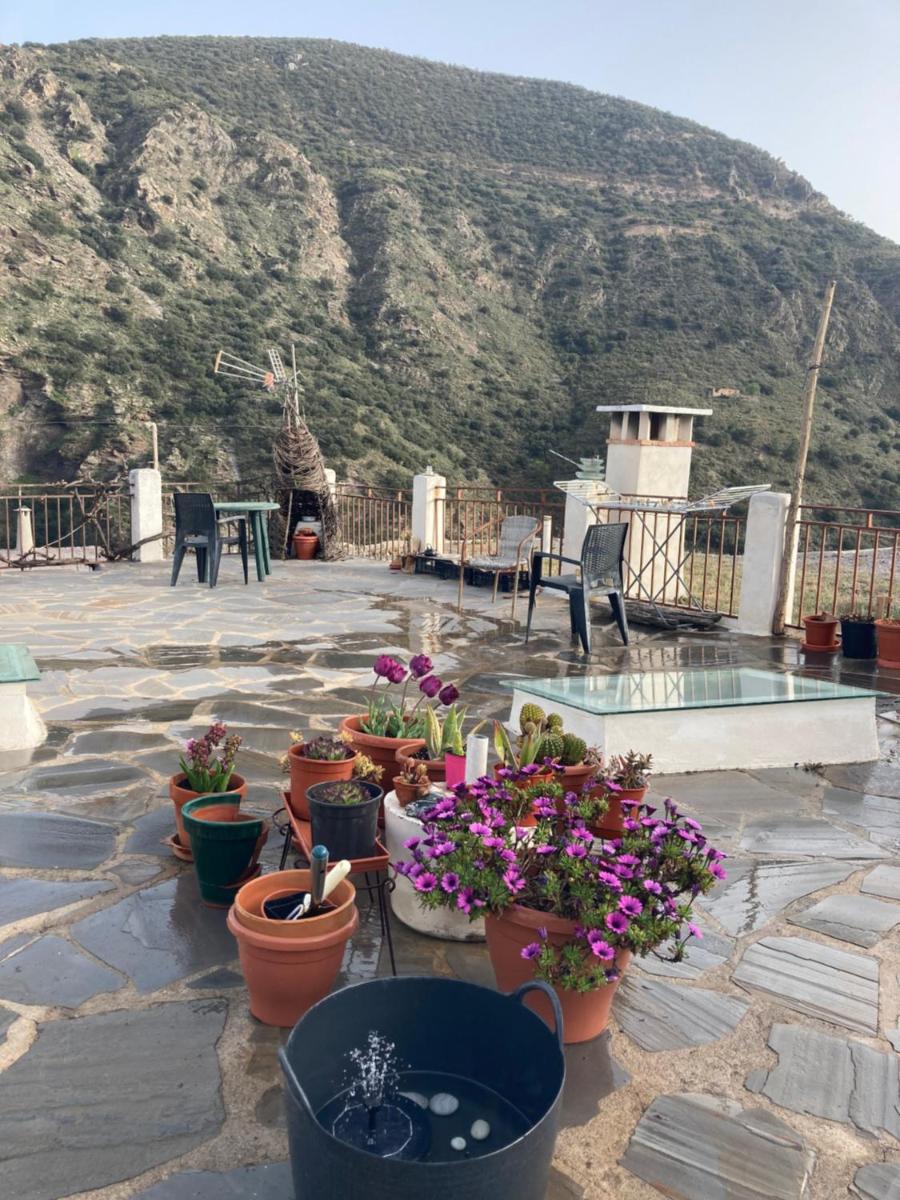 Casa Barbara - Housity