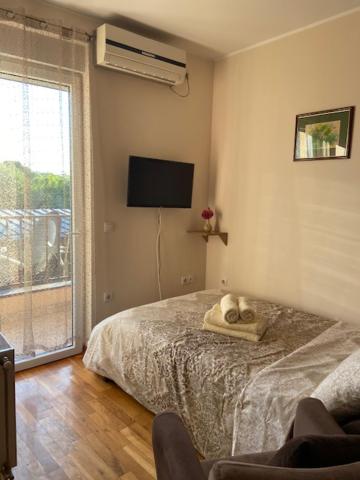 Lux Apartment Kotez - Housity