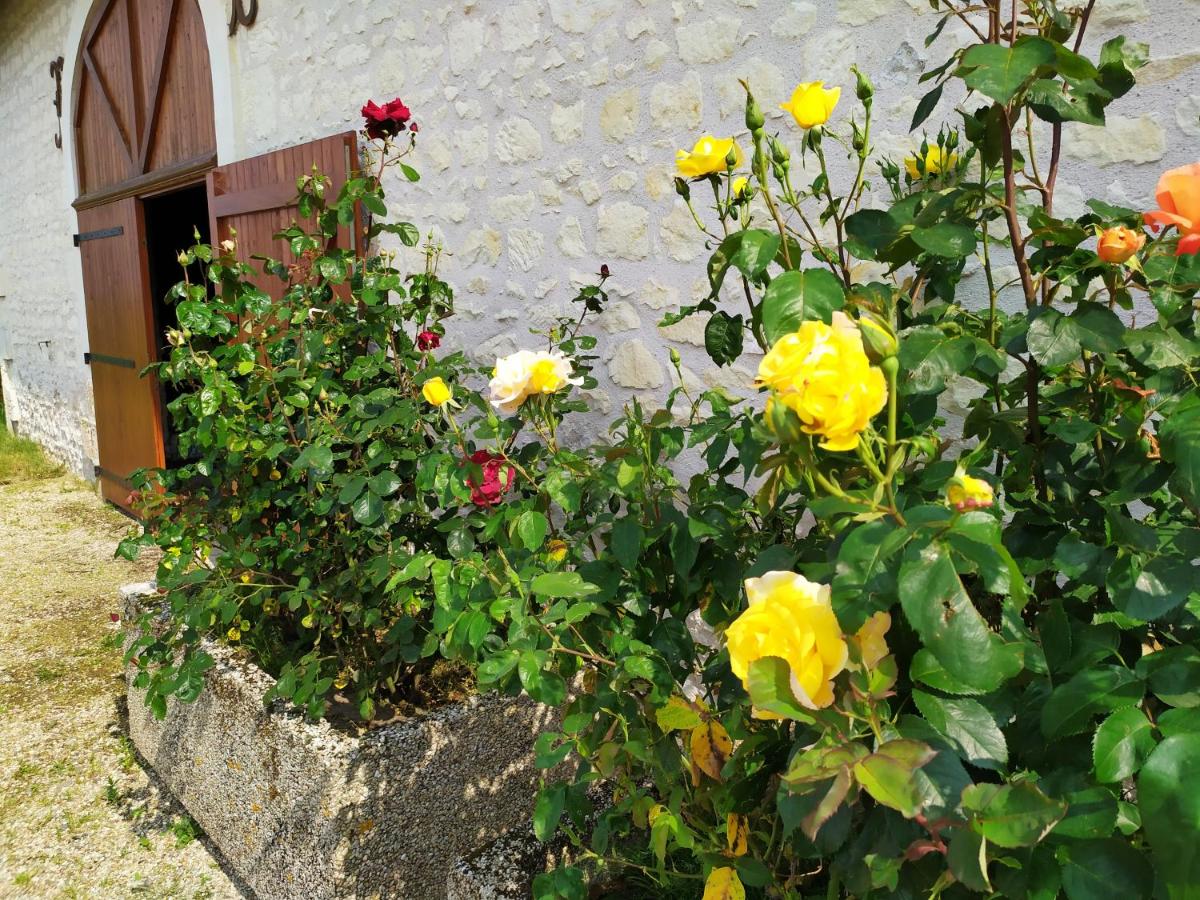 LA BELLE ETOILE - Housity