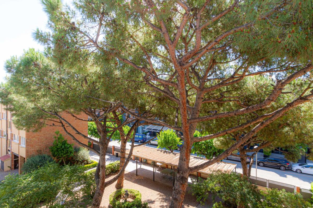 Apartamento Cabrera Montserrat - Housity