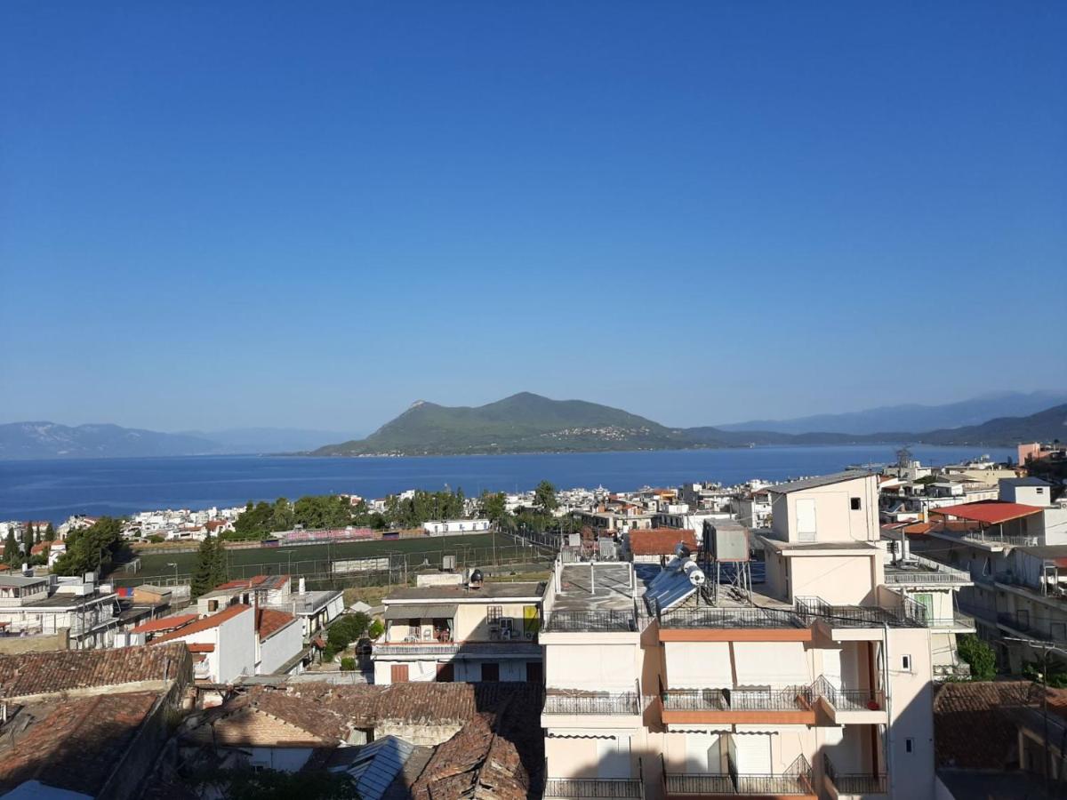 ΖΑΡΙΦΗ ΣΤΑΜΑΤΙΝΑ Ενοικιαζόμενα Διαμερίσματα - Housity