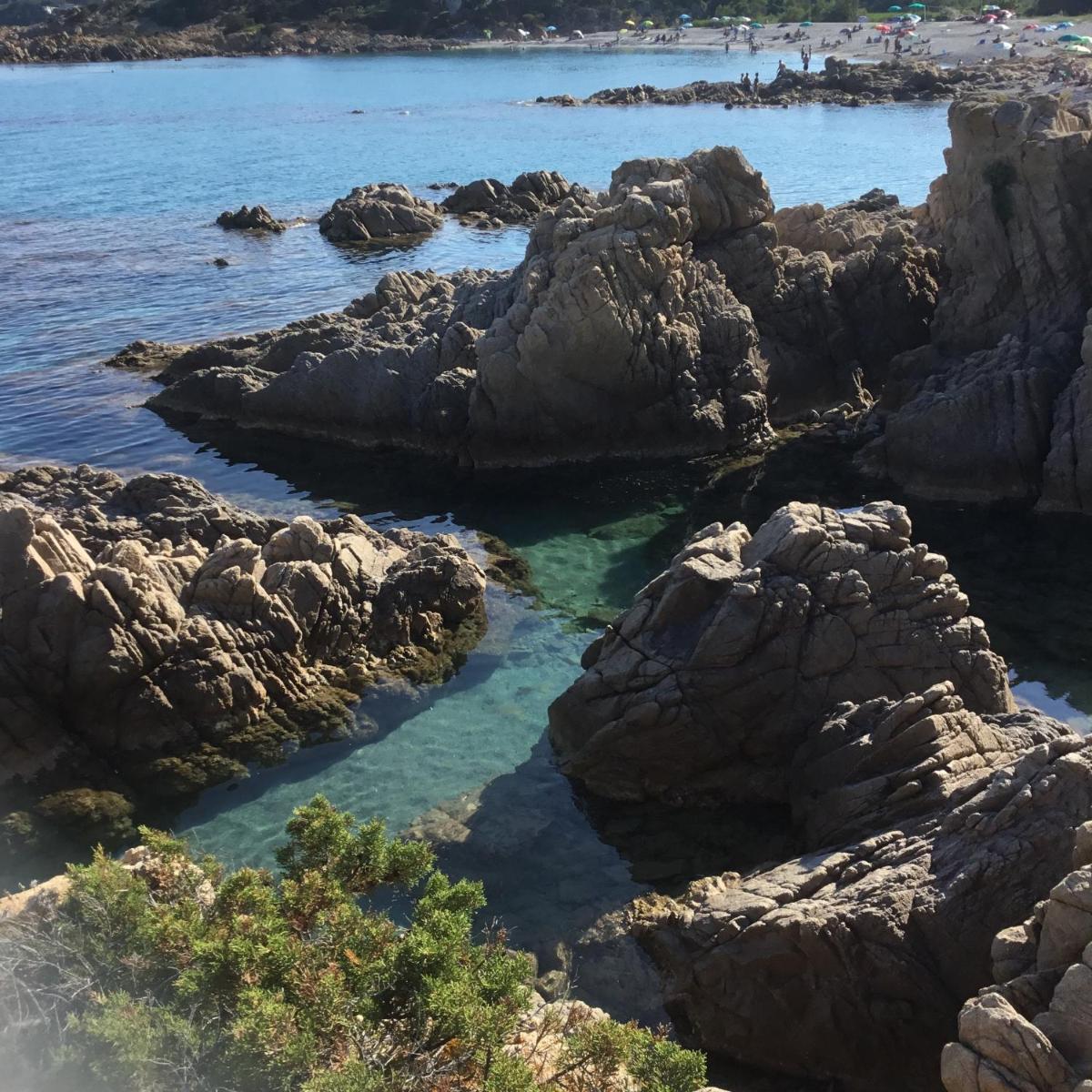 La casa di sara - Housity