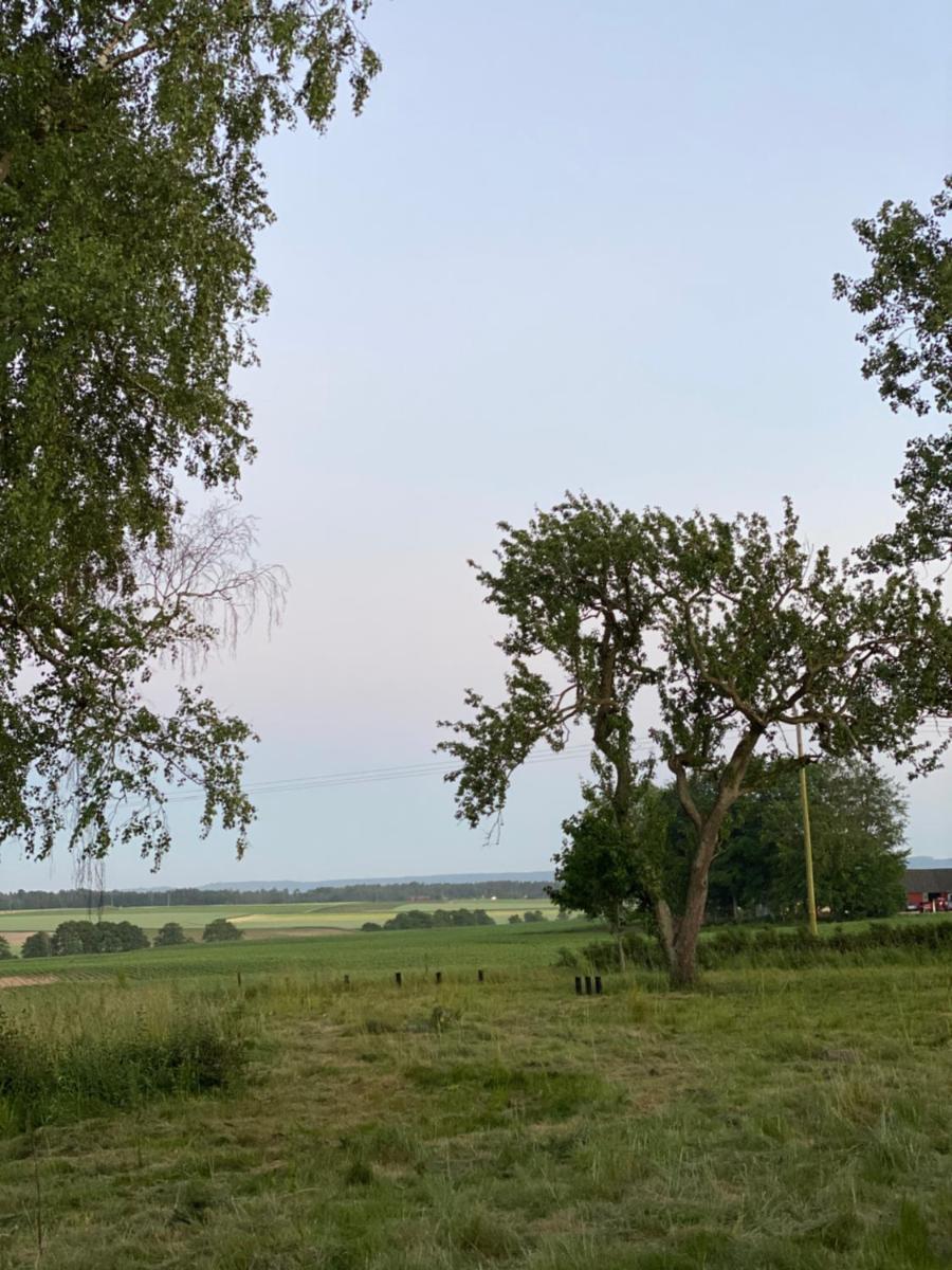 Matsgård - Housity