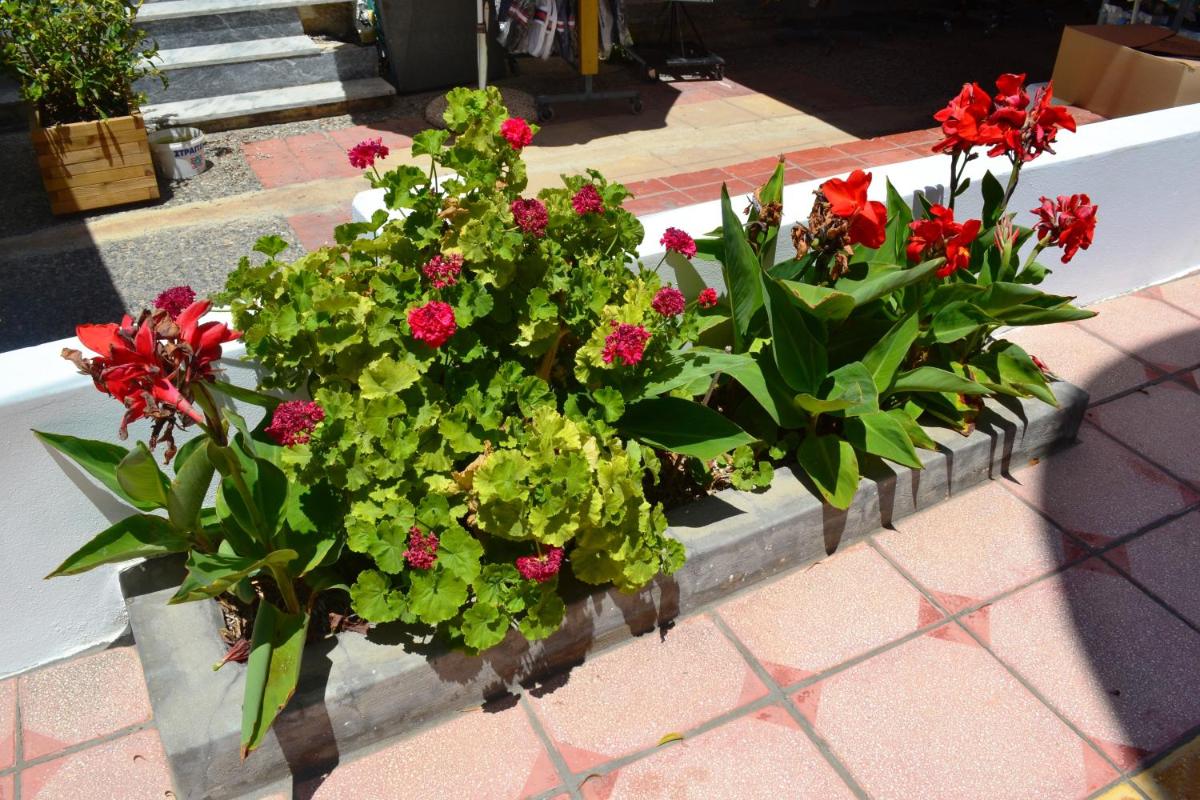 HOTEL ARANT - Housity