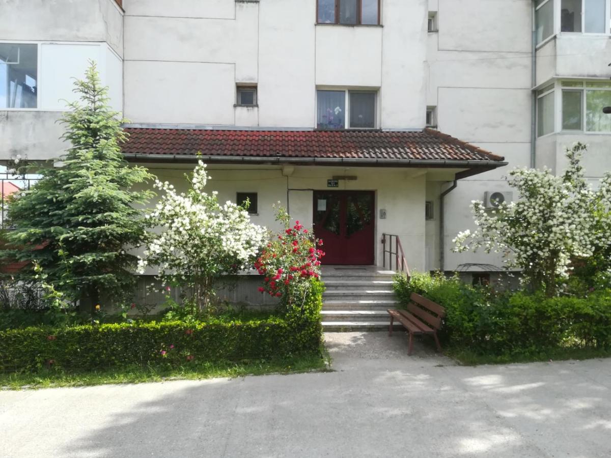 Apartament Nord VeRo - Housity
