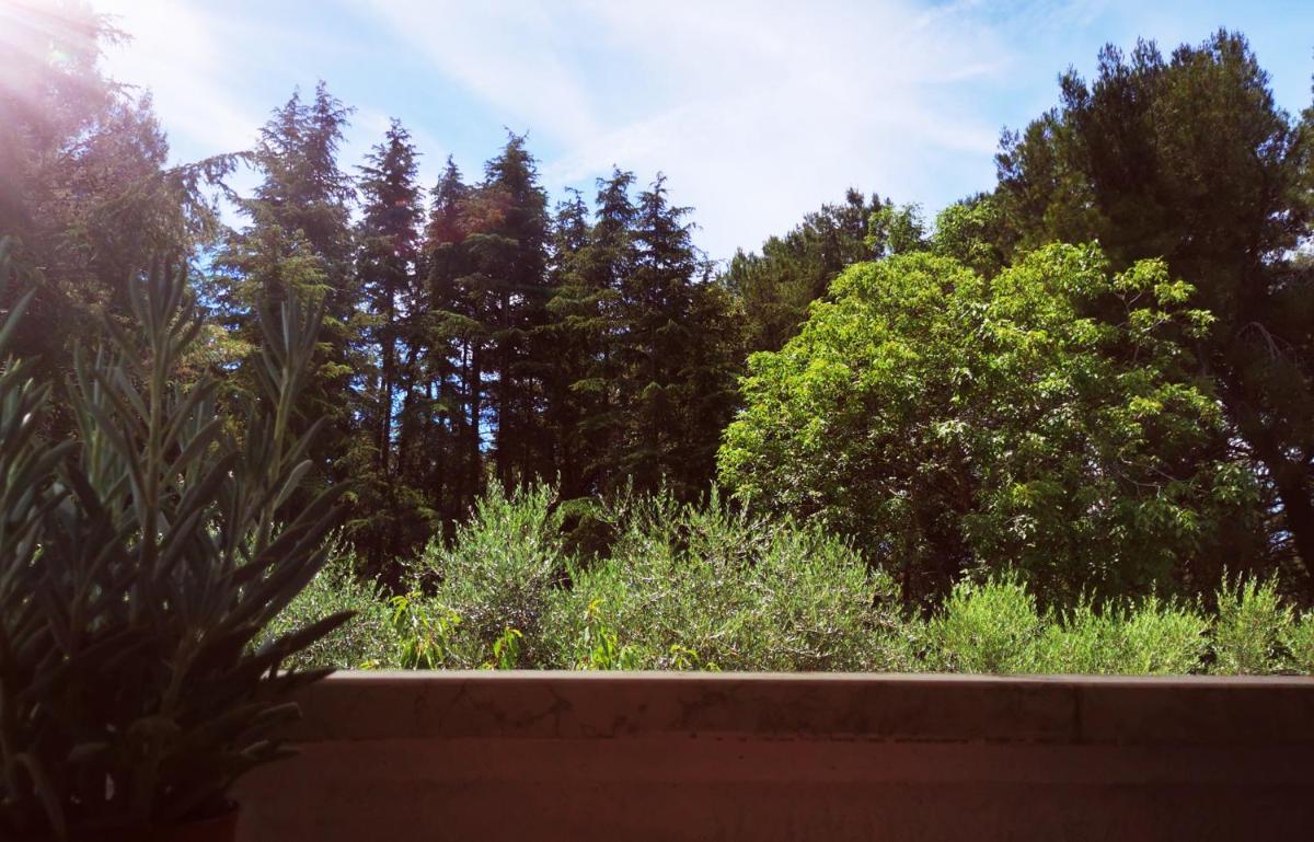 Apartments Nono Toni - Housity