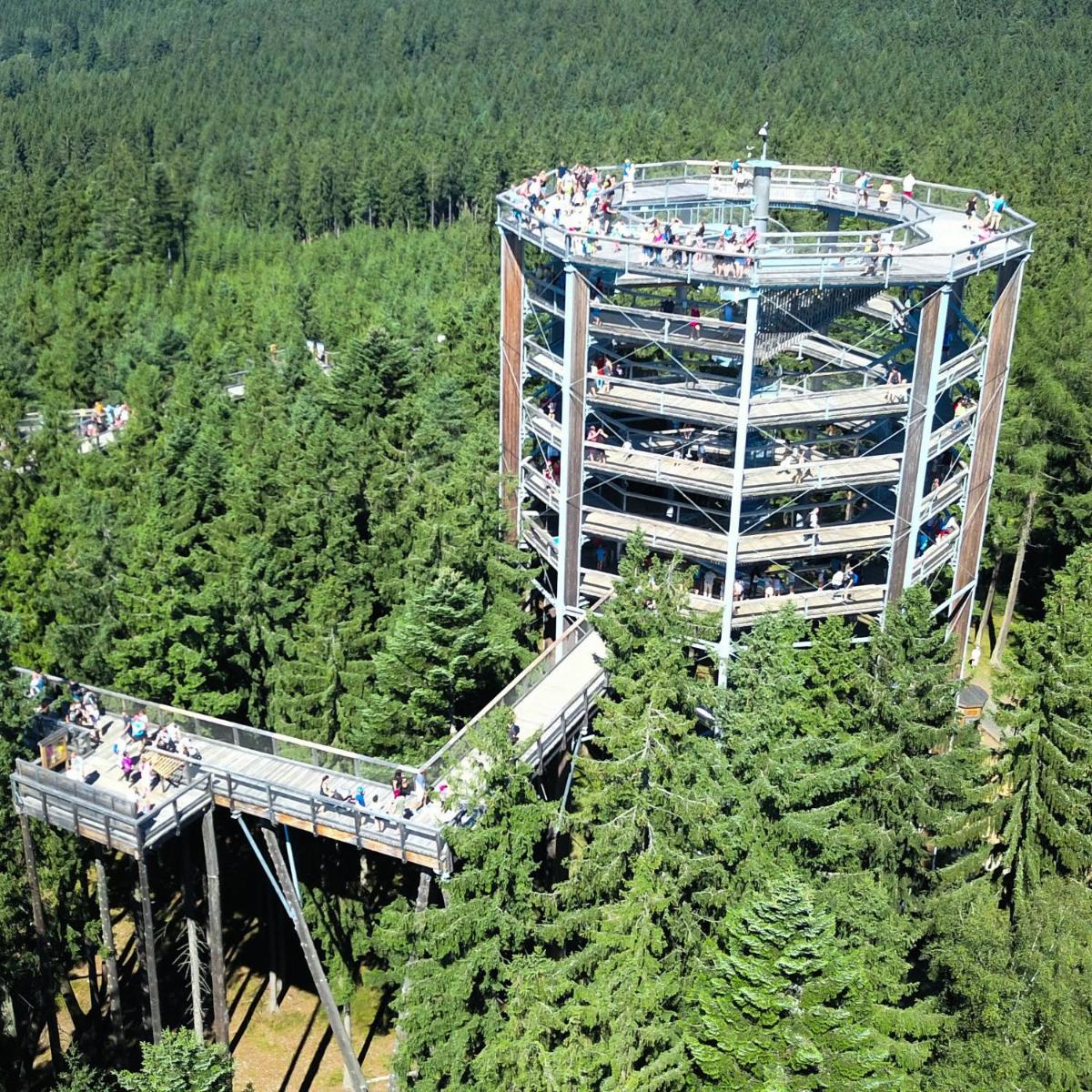 Lipno Riviéra - Myši v botě - Housity