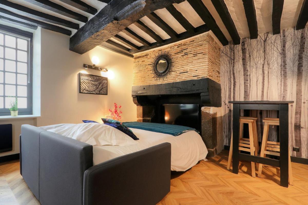 Le Moon, bel appartement près du parc du Thabor - Hizvo
