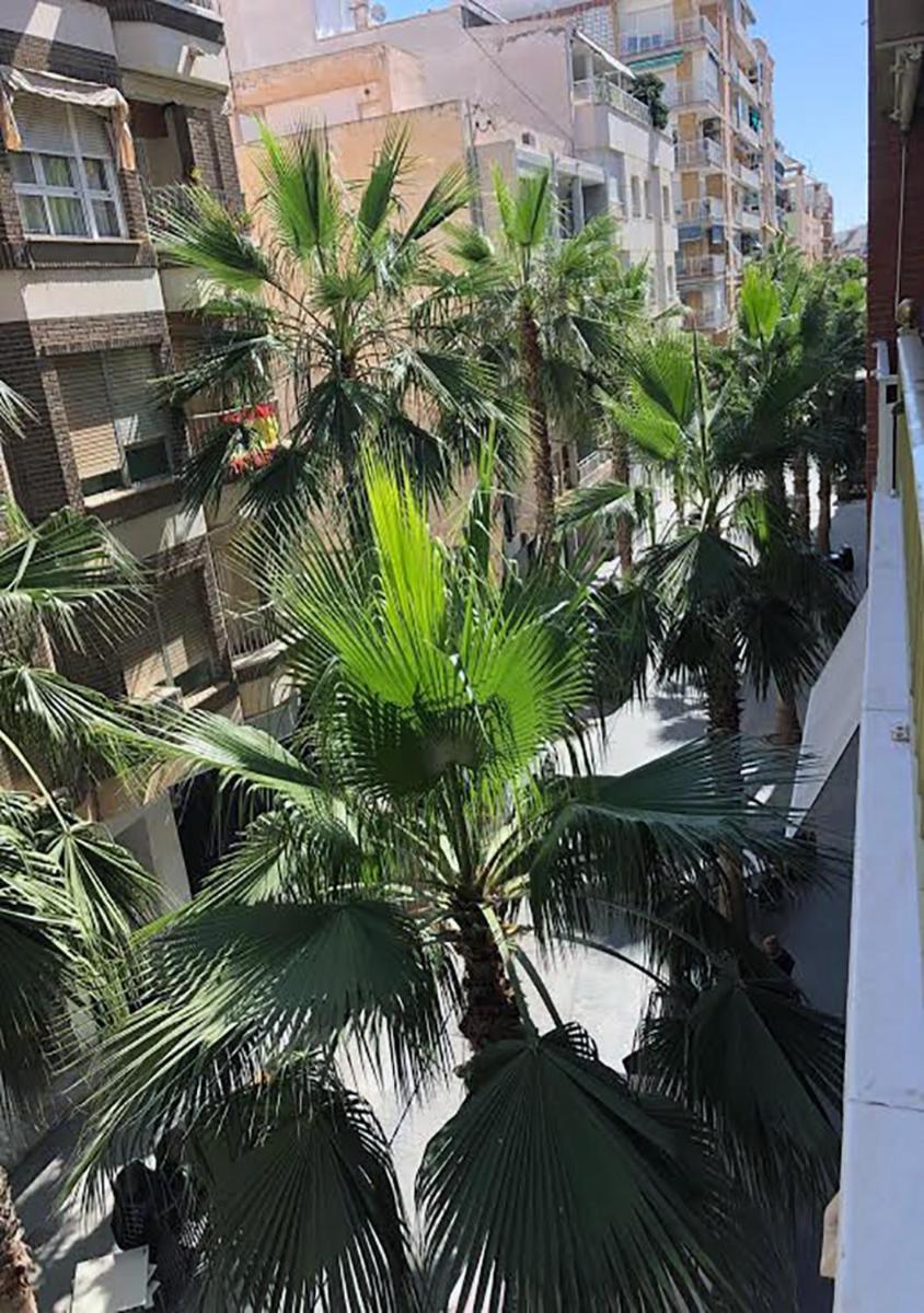 PISO CENTRO CIUDAD CLUB NAUTICO - Housity