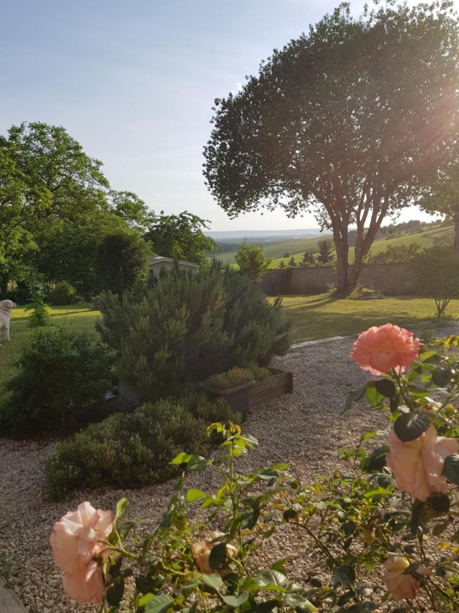 VILLA CHAMPAGNE - Housity